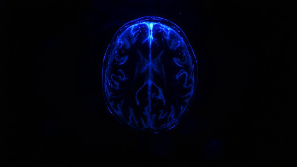neural depletion and cognitive overload